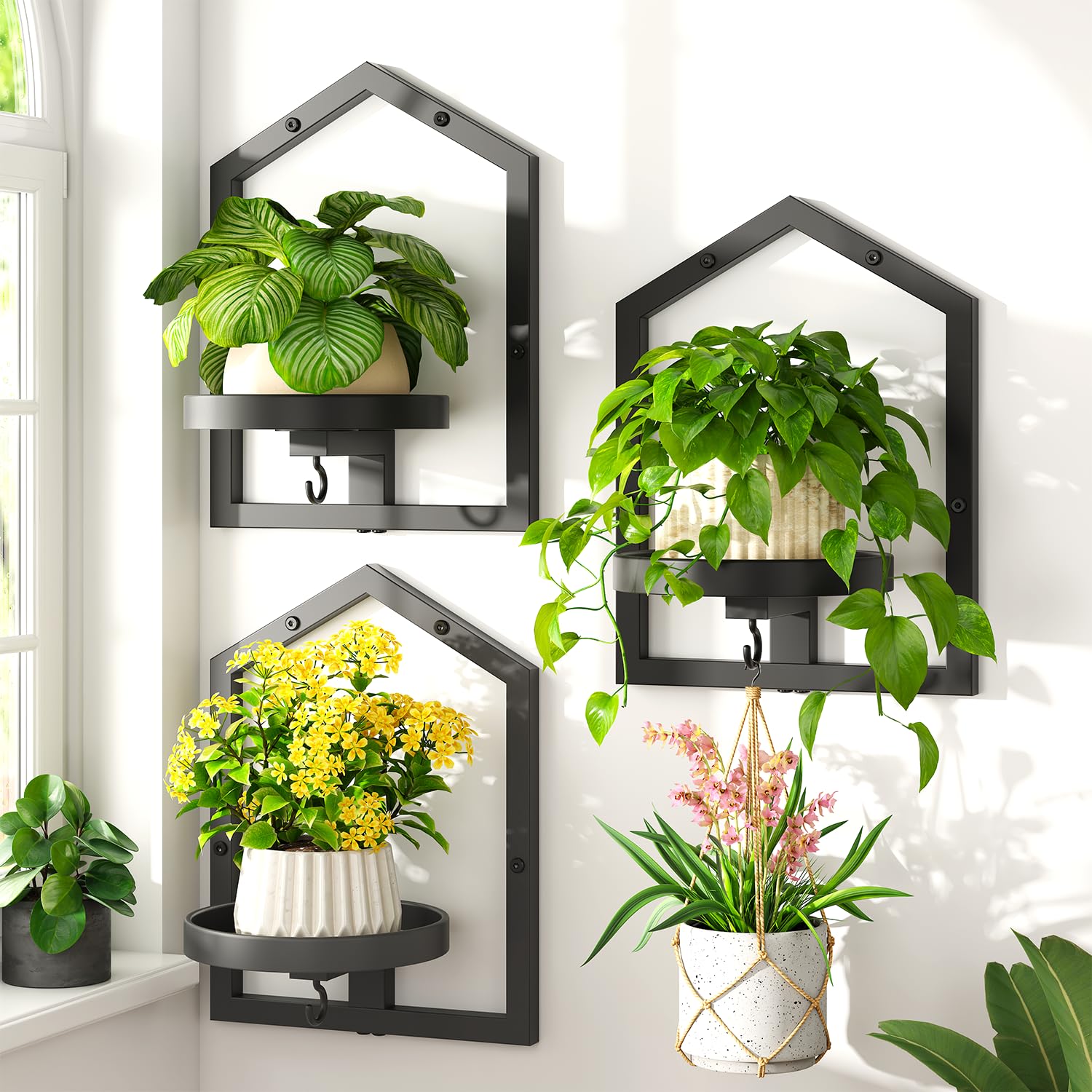 50% Off LASZOLA 3-Pack Wall Shelf Plant Holders - Image 1