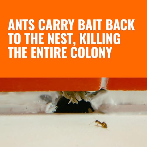 31% Off TERRO Ant Killer Bait Stations - 12 Count - Image 4