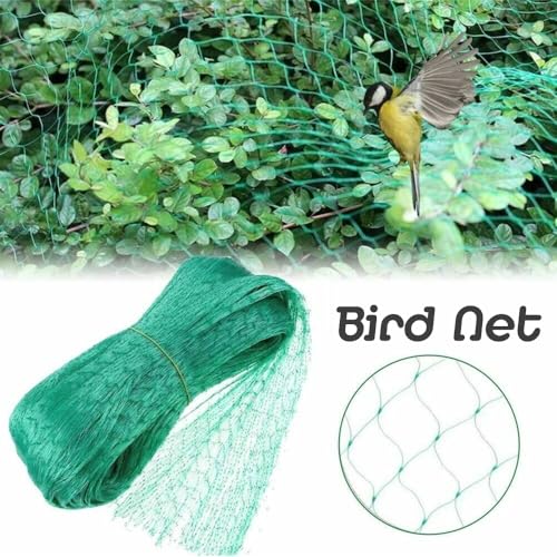 20% Off Alabzphsia Garden Cucumber Trellis Plant Support - Image 5