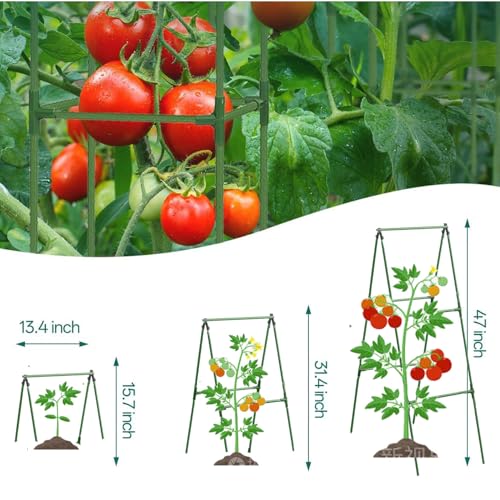 20% Off Alabzphsia Garden Cucumber Trellis Plant Support - Image 6