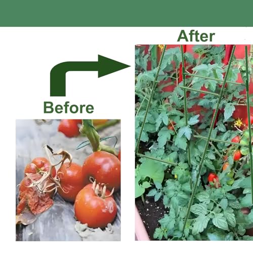 20% Off Alabzphsia Garden Cucumber Trellis Plant Support - Image 8