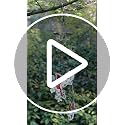 Cardinal Wind Chime - Great Gift Under $15 for Any Occasion - Image 8