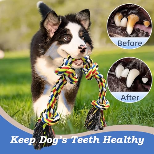 50% Off Heavy Duty Dog Rope Toys for Aggressive Chewers - Image 6