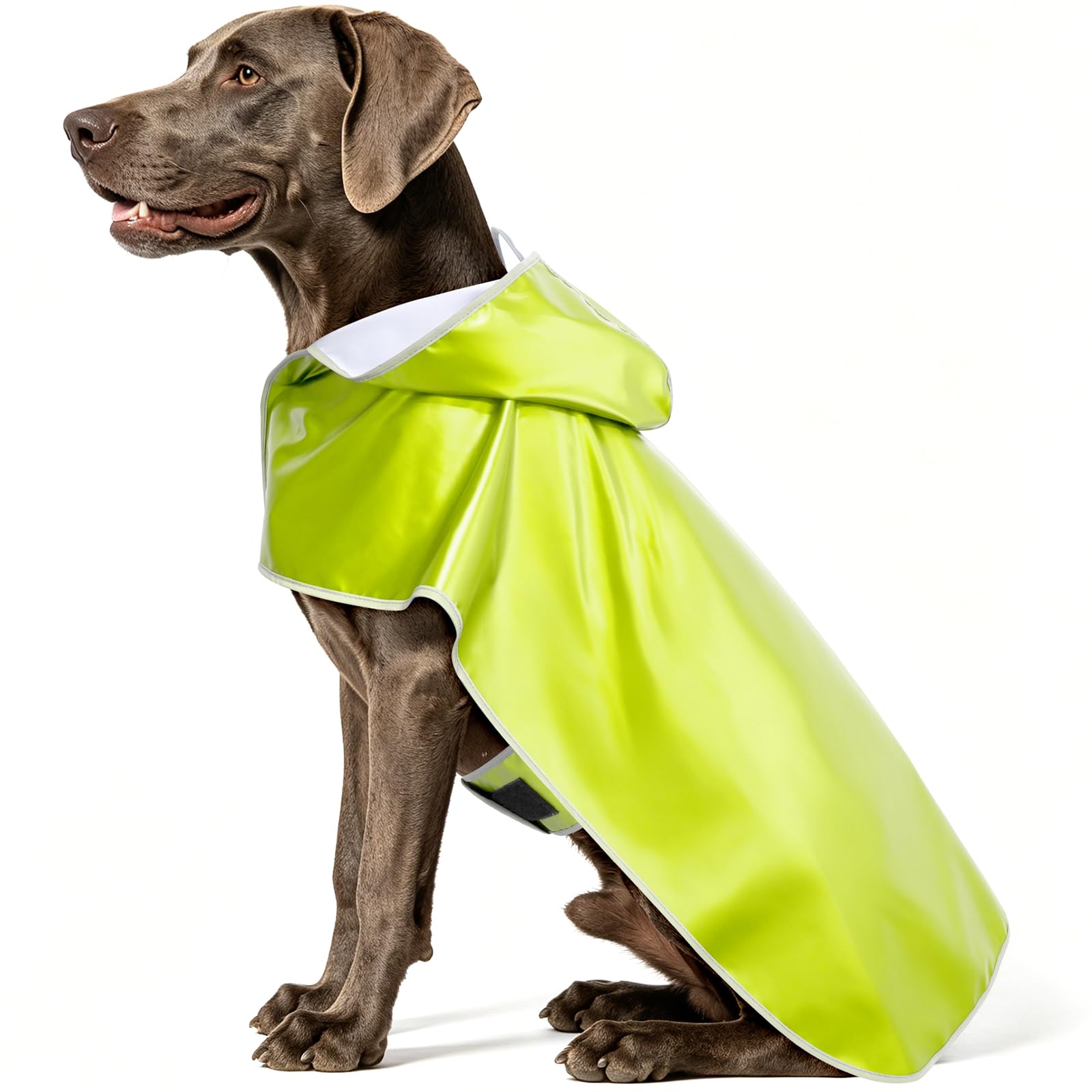 Save 50% on BSEEN Waterproof Dog Raincoat with Code