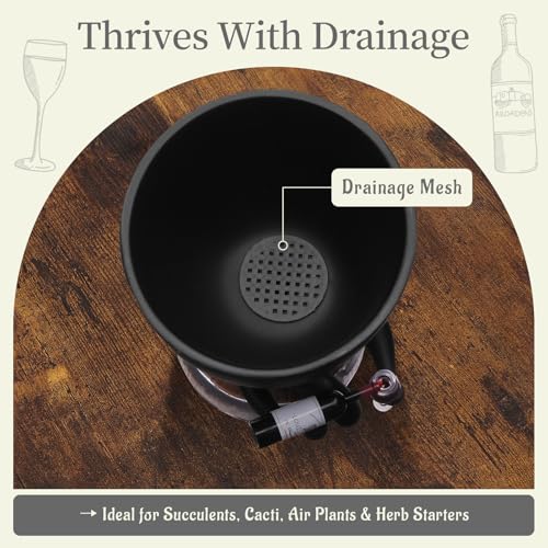 Fun Wine Lover Planter at 30% Off – Perfect Gift - Image 7
