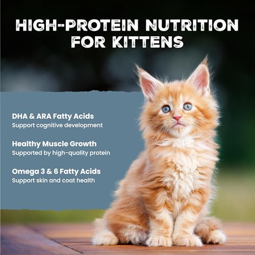 26% Off Blue Buffalo Wilderness Kitten Grain-Free Wet Food (24 Cans) - Image 4