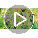 57% Off DREAMSOUL 4-Pack Bird Bath and Bee Feeder Set - Image 8