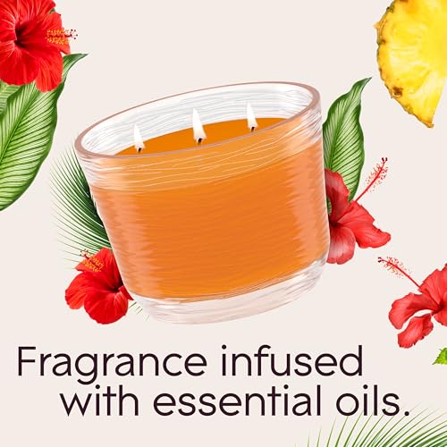 52% Off Glade Hawaiian Breeze 3-Wick Candle 6.8 oz 3-Pack - Image 4