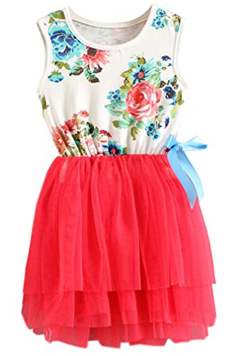 Little Girls Sleeveless Floral Princess Dress – 67% Off - Image 2