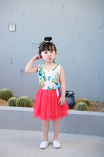 Little Girls Sleeveless Floral Princess Dress – 67% Off - Image 3
