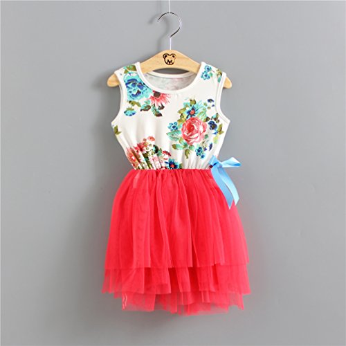 Little Girls Sleeveless Floral Princess Dress – 67% Off - Image 5