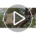 50% Off Highland Cow Wind Chimes – Memorial Gift - Image 8