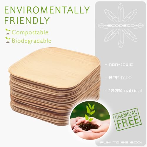 Save with Code: Eco-Friendly Palm Leaf Plates - 50 Pack - Image 7