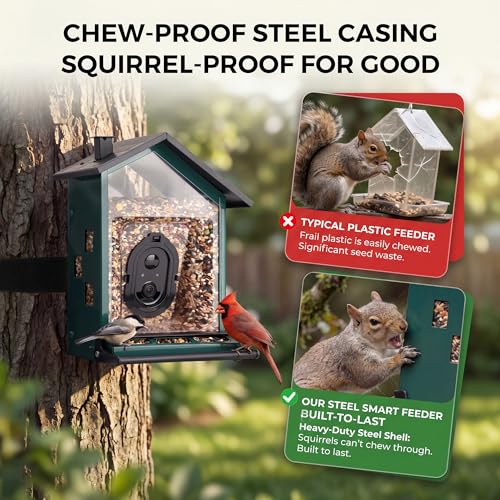9% Off TT Nature Smart Bird Feeder with Camera - Image 3