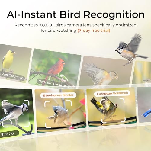 9% Off TT Nature Smart Bird Feeder with Camera - Image 4