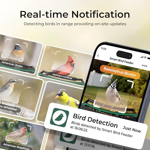 9% Off TT Nature Smart Bird Feeder with Camera - Image 5