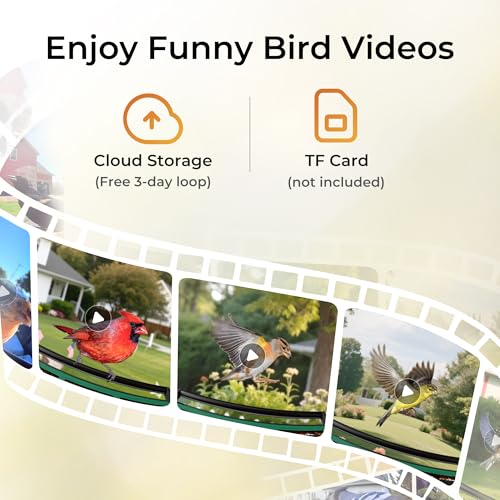 9% Off TT Nature Smart Bird Feeder with Camera - Image 6