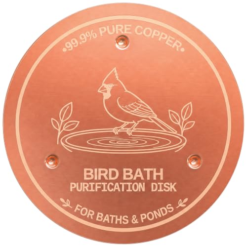 30% Off 99.99% Pure Copper Bird Bath Disc - Image 2