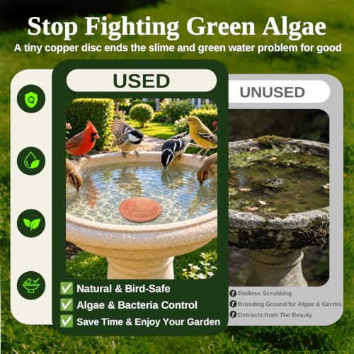 30% Off 99.99% Pure Copper Bird Bath Disc - Image 4
