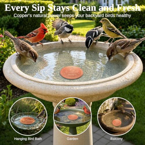 30% Off 99.99% Pure Copper Bird Bath Disc - Image 5