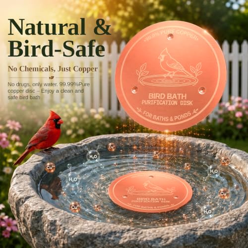 30% Off 99.99% Pure Copper Bird Bath Disc - Image 6