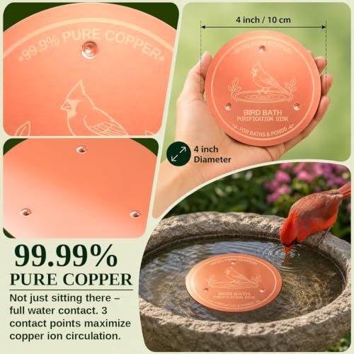 30% Off 99.99% Pure Copper Bird Bath Disc - Image 7