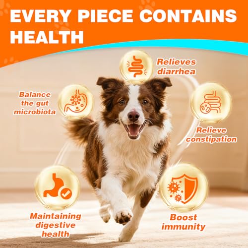 23% Off Probiotics for Dogs – Code JSJSXH8N - Image 3