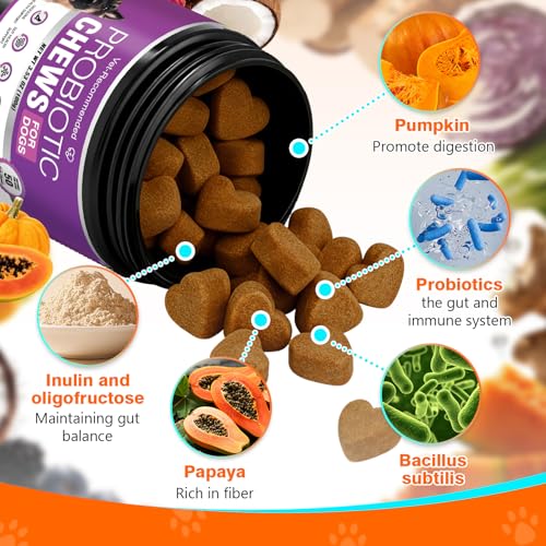 23% Off Probiotics for Dogs – Code JSJSXH8N - Image 6