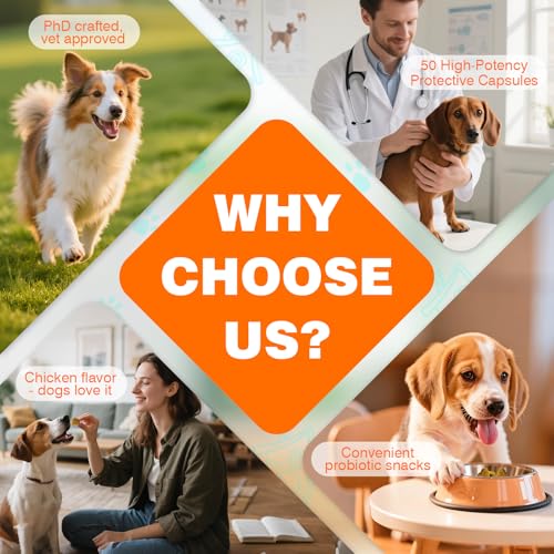 23% Off Probiotics for Dogs – Code JSJSXH8N - Image 8