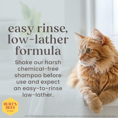 5% Off Burt's Bees Tearless Kitten Shampoo at $8.57 - Image 5
