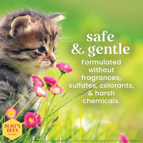 5% Off Burt's Bees Tearless Kitten Shampoo at $8.57 - Image 6