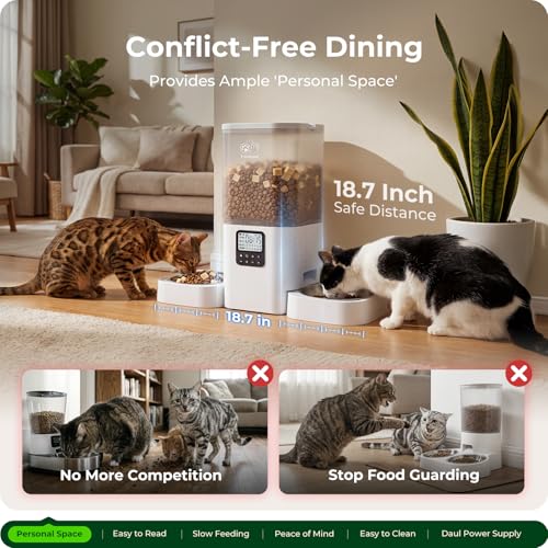 Save 50% on Frienhund Automatic Cat Feeder for 2 Cats - Image 3