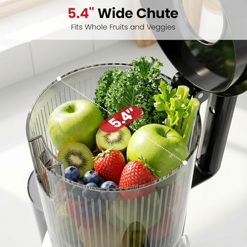 LAUDLIFE Cold Press Juicer: 50% Off with Code PS2MSLV8 - Image 3