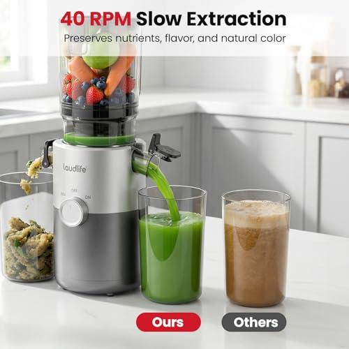 LAUDLIFE Cold Press Juicer: 50% Off with Code PS2MSLV8 - Image 7