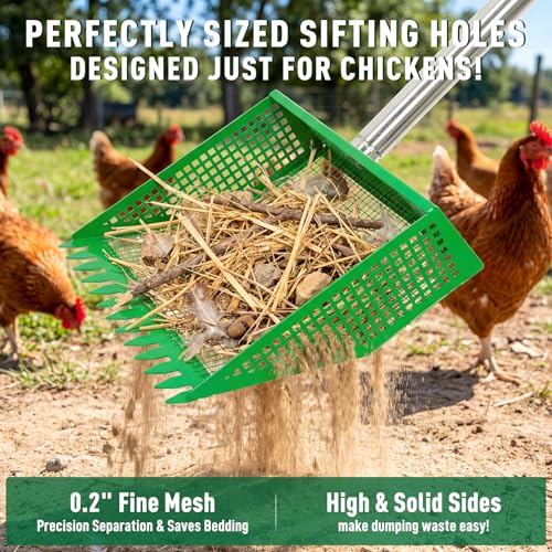 50% Off TOOGE Large Chicken Poop Scooper – Only $11.99 - Image 5