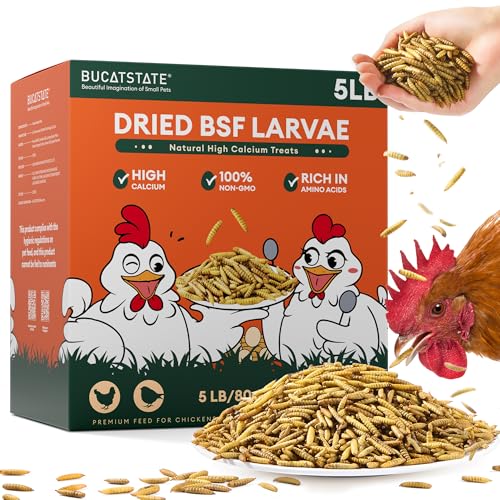 5LB Dried Black Soldier Fly Larvae – High Calcium Treat for Chickens - Image 2