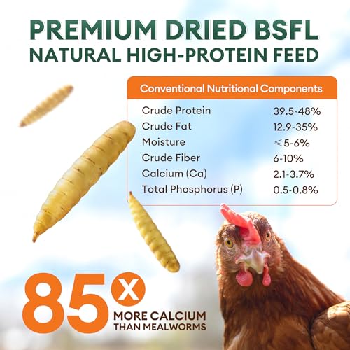 5LB Dried Black Soldier Fly Larvae – High Calcium Treat for Chickens - Image 3