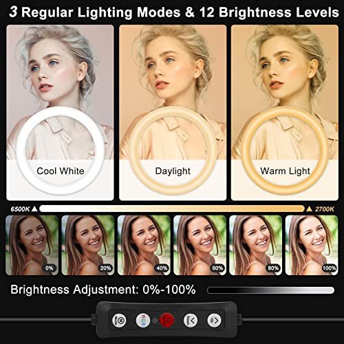 5% Off Vlogging 13" Selfie Ring Light with Tripod and Phone Holders - Image 3