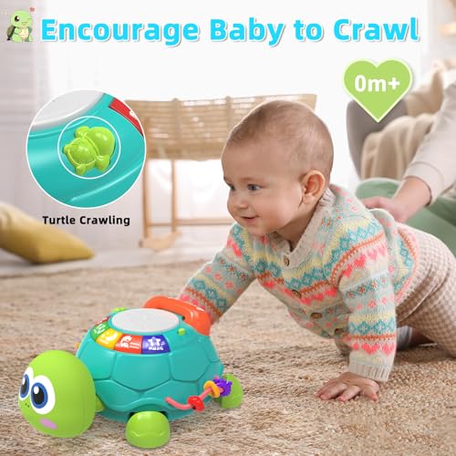 50% Off Musical Turtle Baby Toy with Lights & Sounds - Image 6