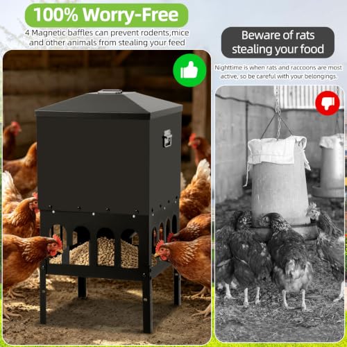 50% Off AOTECC 80 lb Metal Chicken Feeder - Image 7