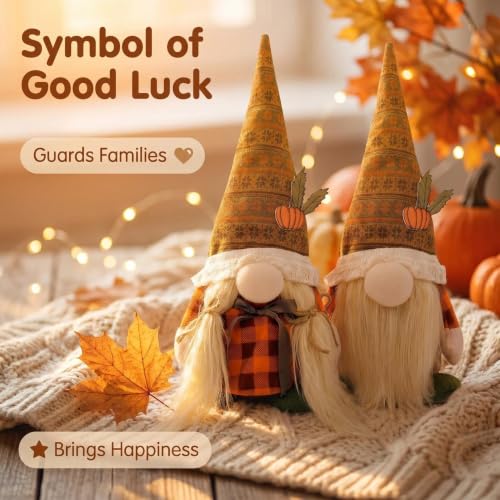 50% Off Cute Thanksgiving Gnomes Fall Decor - Image 6