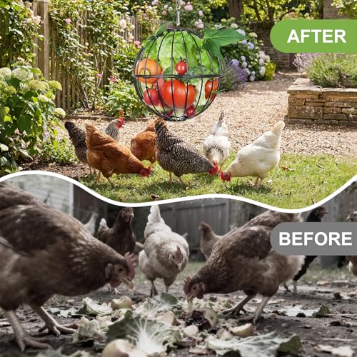 50% Off Hanging Metal Chicken Feeder with Treat Ball - Image 6