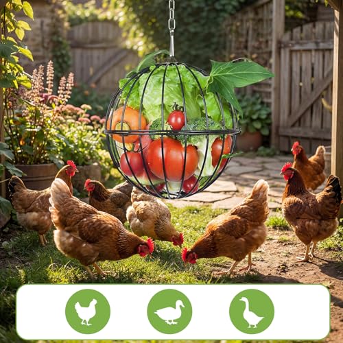 50% Off Hanging Metal Chicken Feeder with Treat Ball - Image 7
