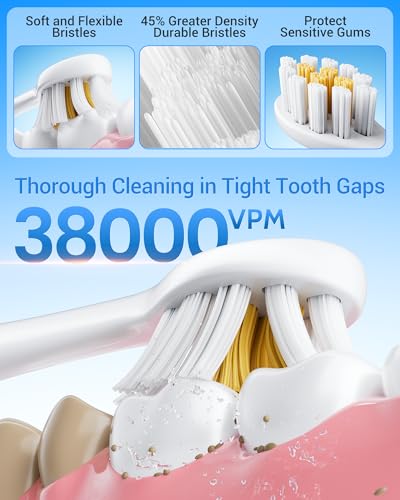 29% Off Aneebart Sonic Electric Toothbrush 2-Pack with Code - Image 5