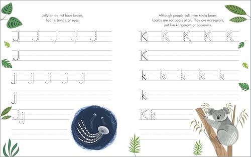 35% Off Print Penmanship Workbook for Kids with Animal Facts - Image 3