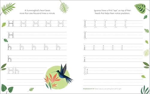 35% Off Print Penmanship Workbook for Kids with Animal Facts - Image 4