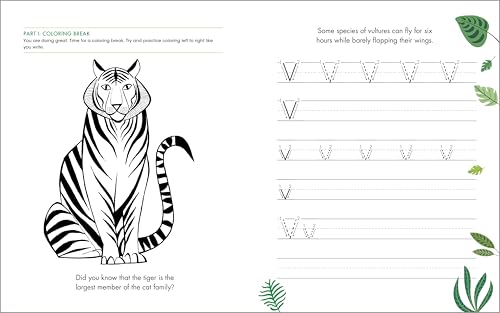35% Off Print Penmanship Workbook for Kids with Animal Facts - Image 7