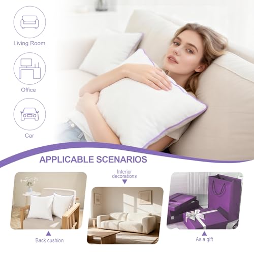 21% Off Hypoallergenic 20x20 Pillow Inserts Set of 2 - Image 5