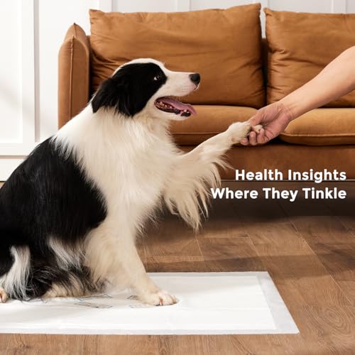 10% Off ZOMISIA Health Monitoring Dog Pads - Image 4