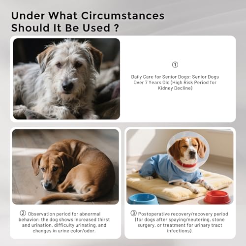 10% Off ZOMISIA Health Monitoring Dog Pads - Image 6